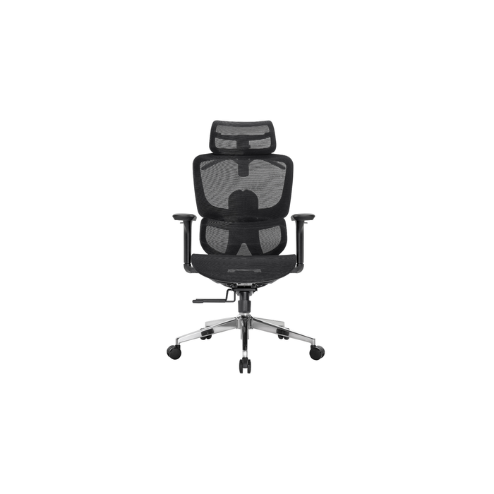 Cradle Comfort Ergonomic Office Chair