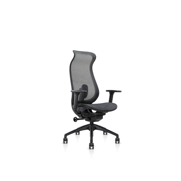 Stance Arc Form Office Chair