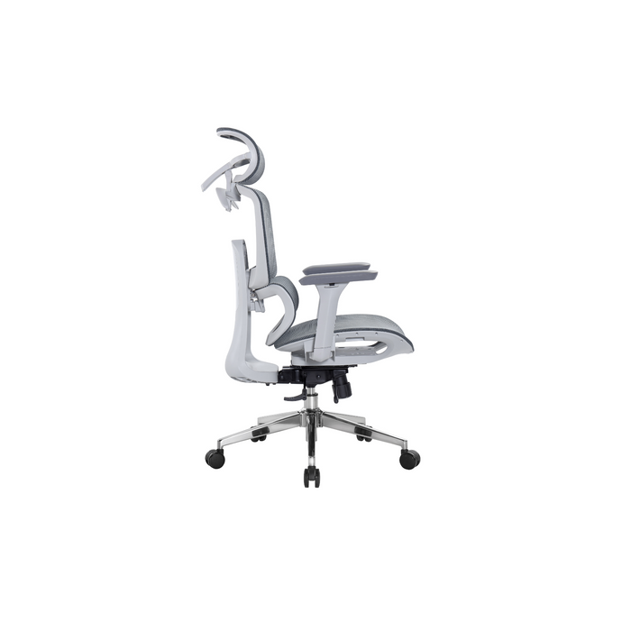 Cradle Comfort Ergonomic Office Chair