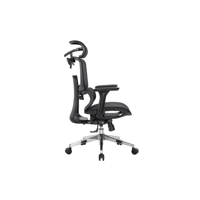Cradle Comfort Ergonomic Office Chair