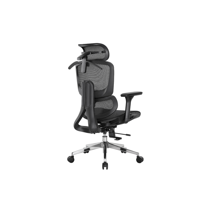 Cradle Comfort Ergonomic Office Chair
