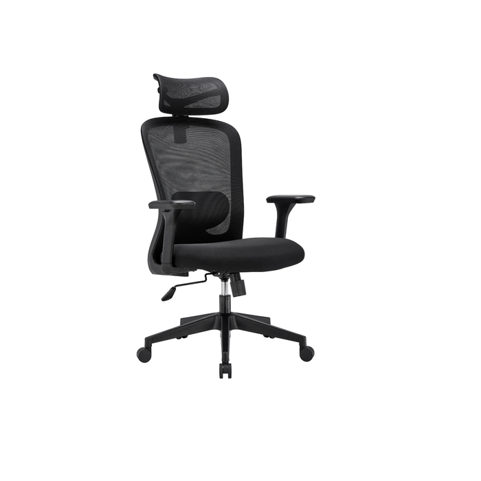 Stance Aero Form Ergonomic Office Chair
