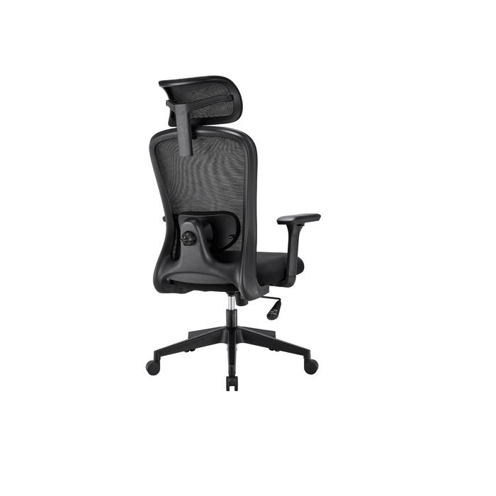Stance Aero Form Ergonomic Office Chair