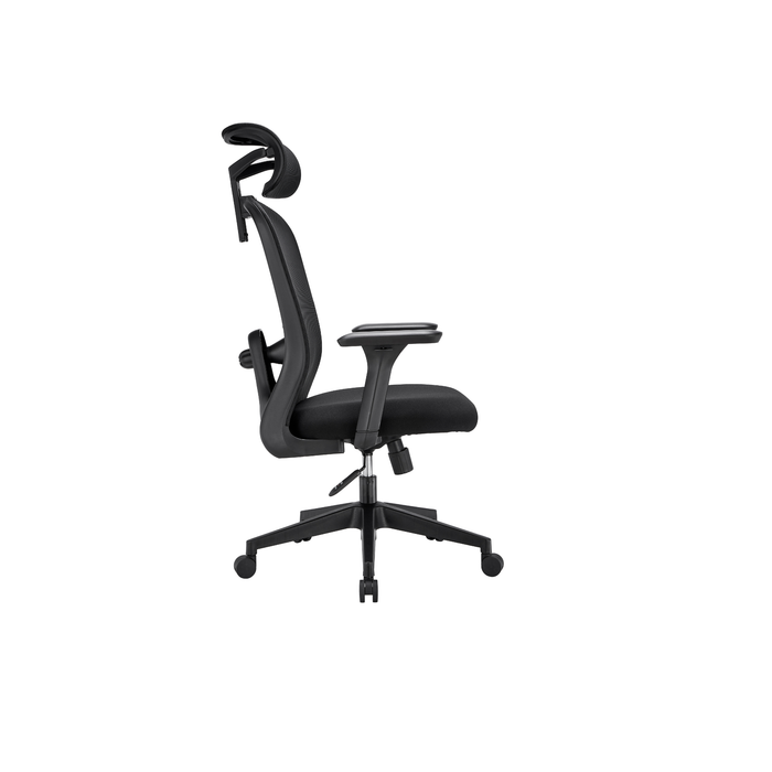 Stance Aero Form Ergonomic Office Chair