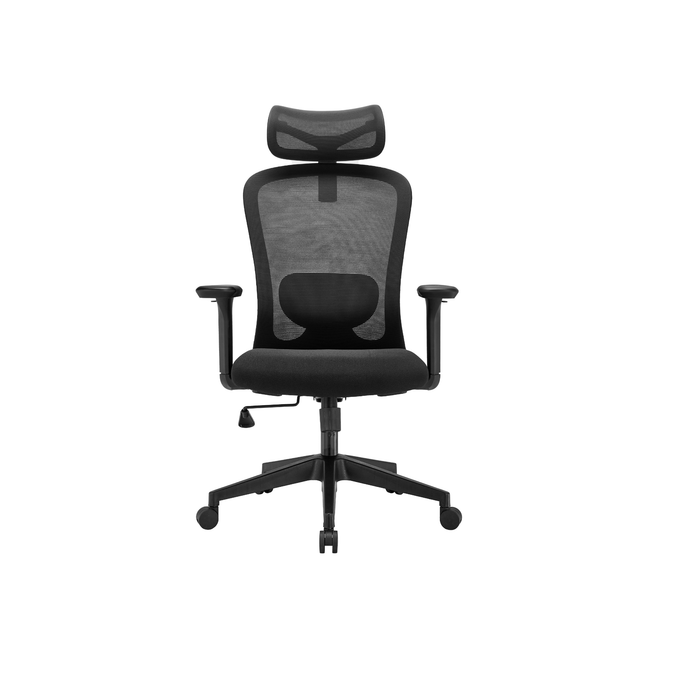 Stance Aero Form Ergonomic Office Chair