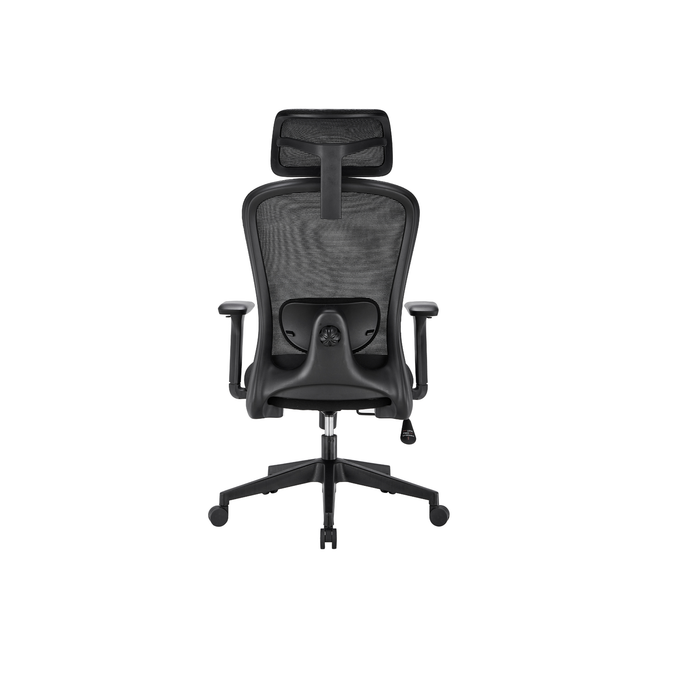 Stance Aero Form Ergonomic Office Chair