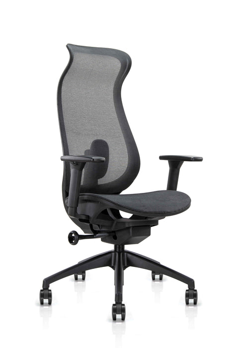Stance Arc Form Office Chair