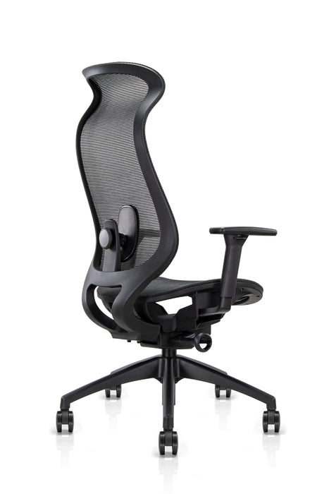 Stance Arc Form Office Chair