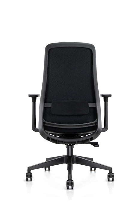 Axis Pro Ergonomic Office Chair