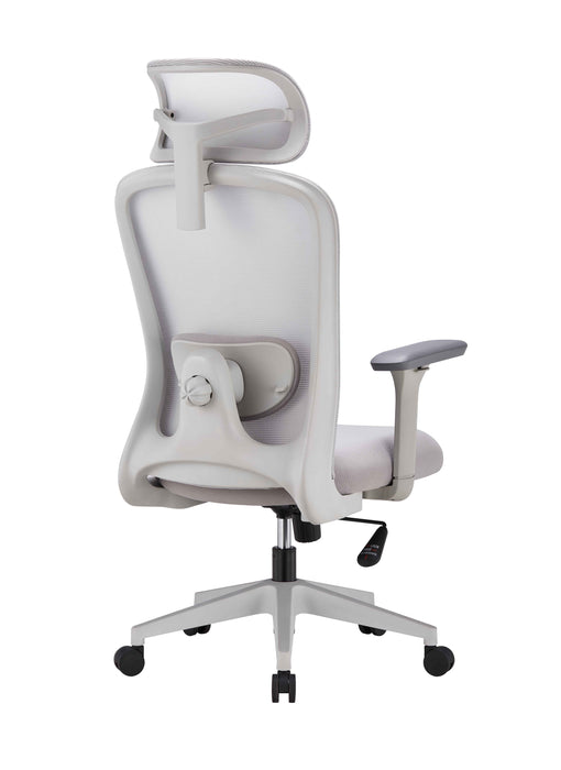 Stance Aero Form Ergonomic Office Chair