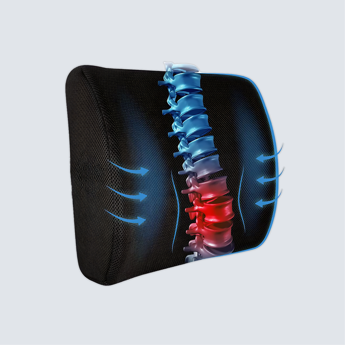 Stance Ease Lumbar Support Pillow