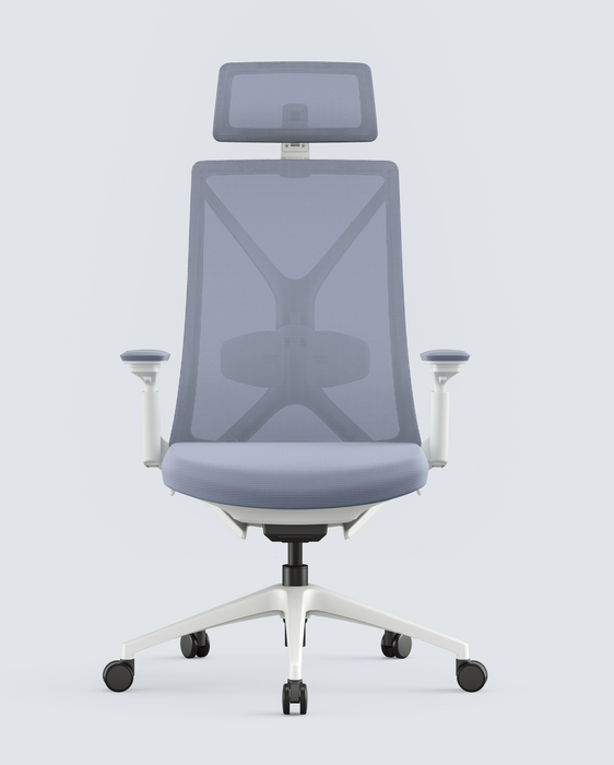 Isairis Ergonomic Office Chair with Adjustable Headrest and Armrests