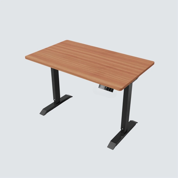 Stance Executive Dual Motor Standing Desk
