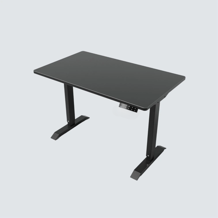 Stance Executive Dual Motor Standing Desk
