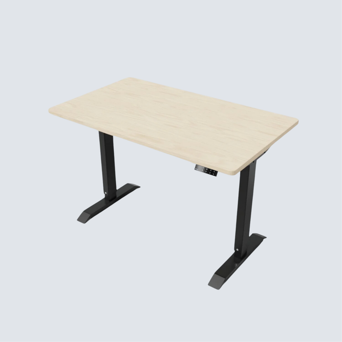 Stance Executive Dual Motor Standing Desk