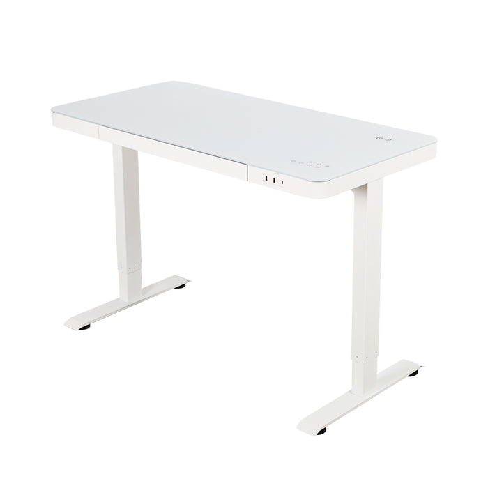 Stance Executive Glass Tabletop Dual Motor Standing Desk Super Sale 11.11