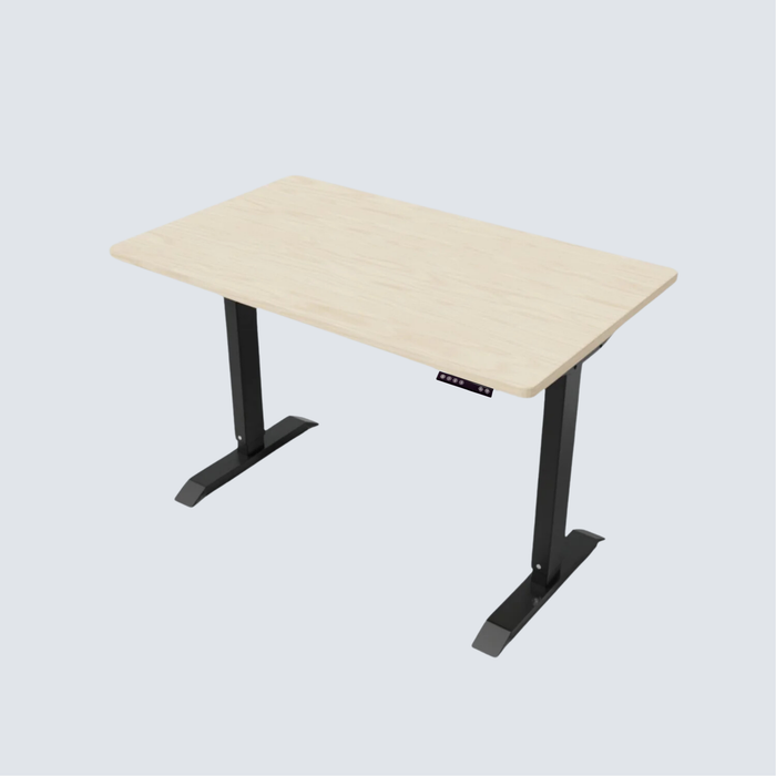 Stance Executive Single Motor Standing Desk
