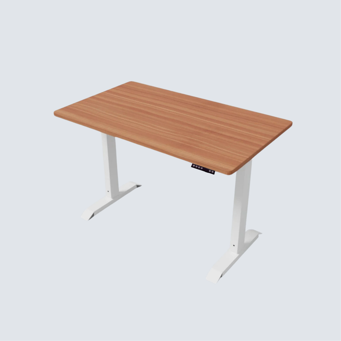 Stance Executive Single Motor Standing Desk