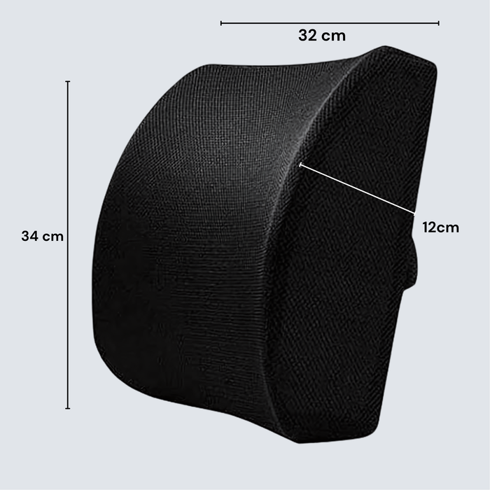 Stance Ease Lumbar Support Pillow