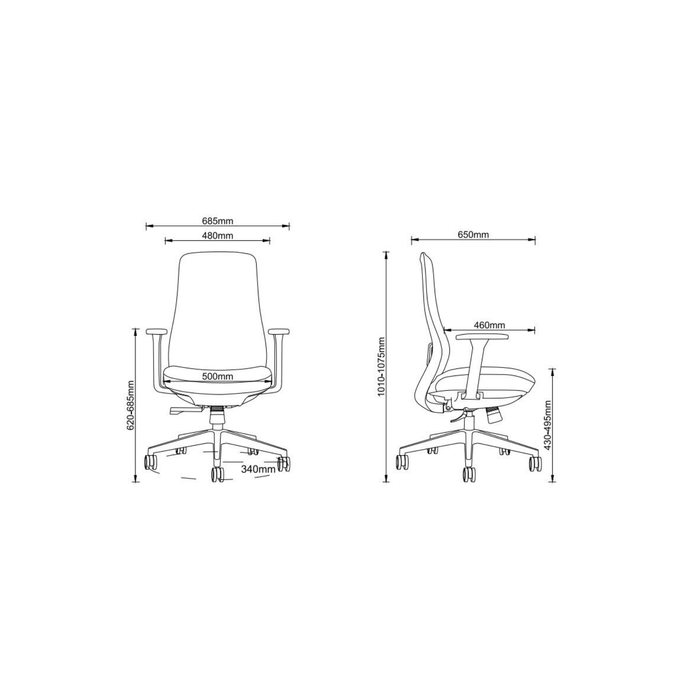 Axis Pro Ergonomic Office Chair