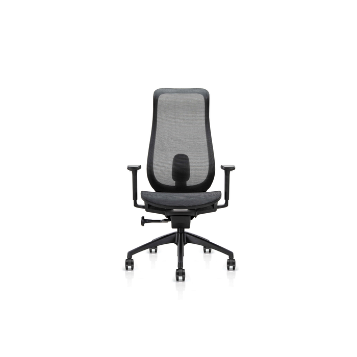 Stance Arc Form Office Chair