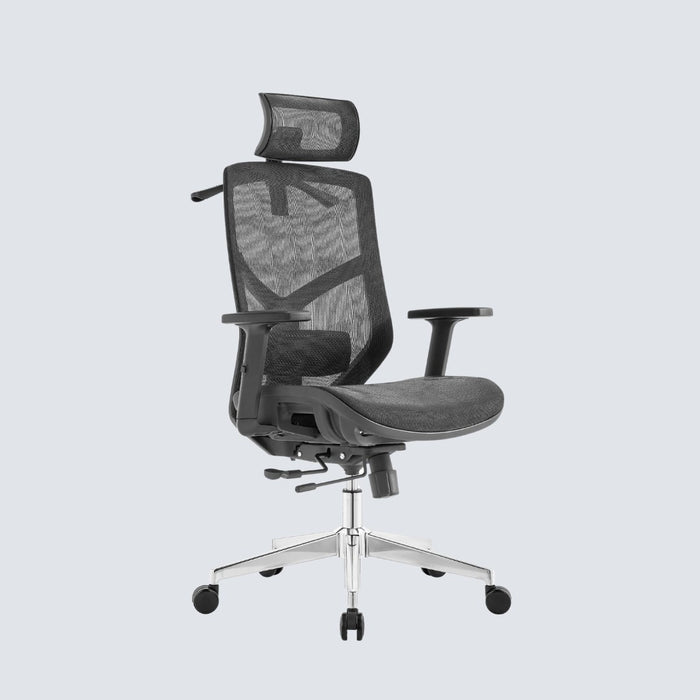 Cradle Comfort Ergonomic Office Chair — stancephilippines