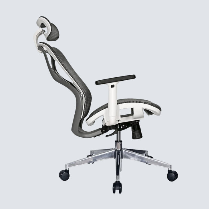Arch Ace Ergonomic Office Chair