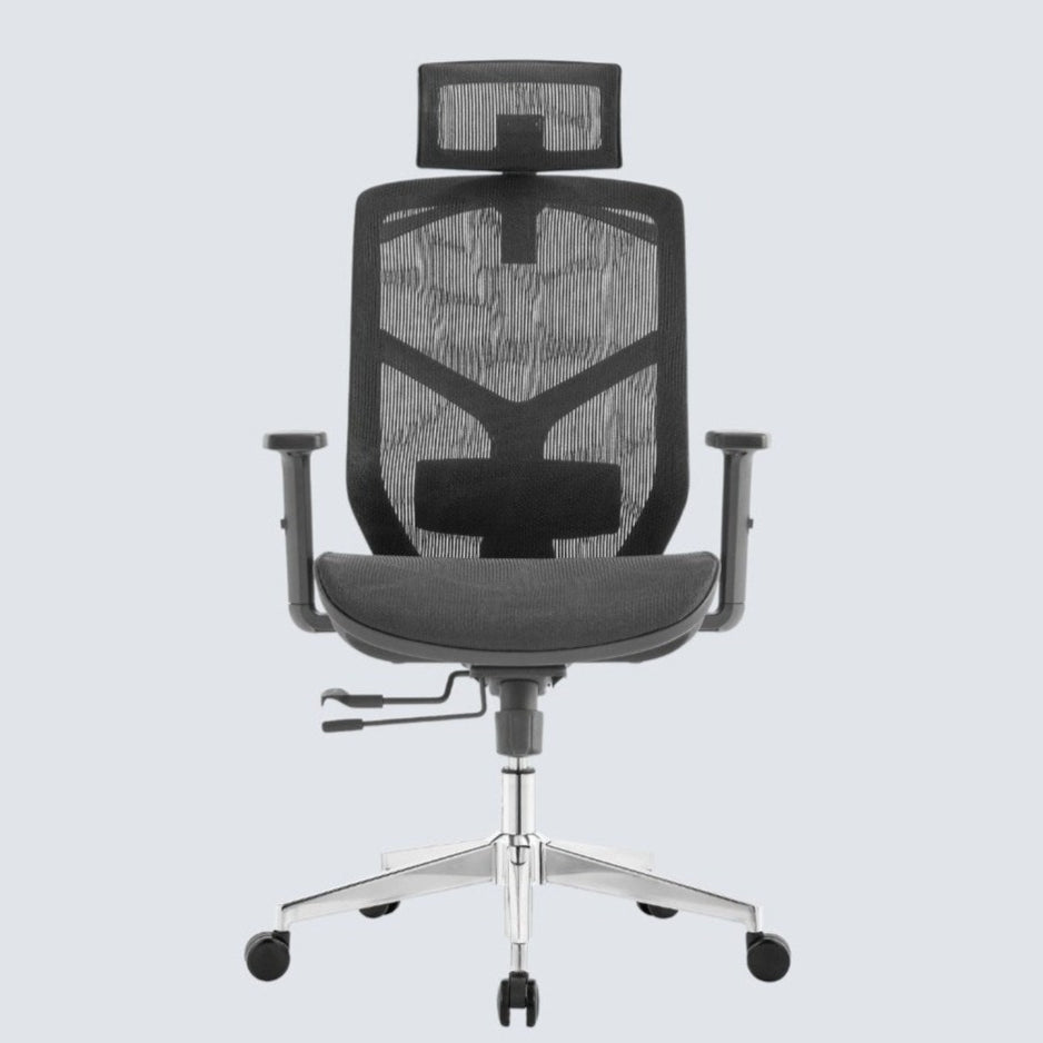 Cradle Comfort Ergonomic Office Chair — stancephilippines