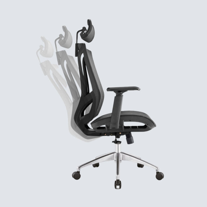 Cradle Pro Ergonomic Office Chair