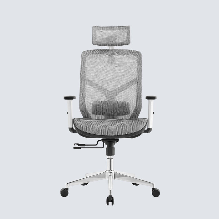 Cradle Comfort Ergonomic Office Chair — stancephilippines